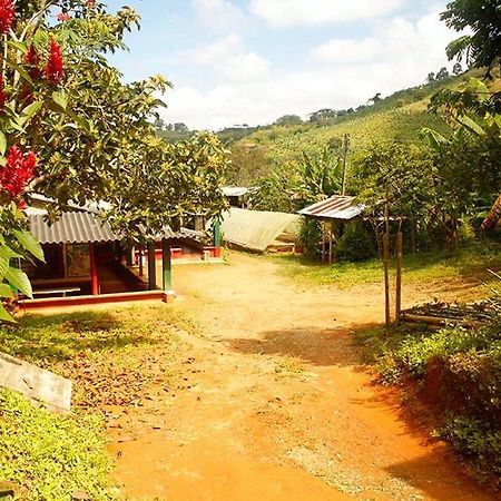 Alojamiento Rural Café Yarumo Buenavista  Exterior foto