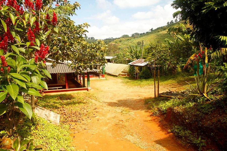 Alojamiento Rural Café Yarumo Buenavista  Exterior foto