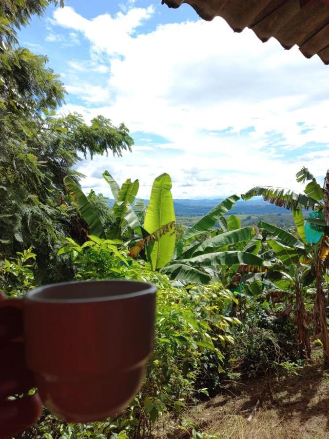 Alojamiento Rural Café Yarumo Buenavista  Exterior foto