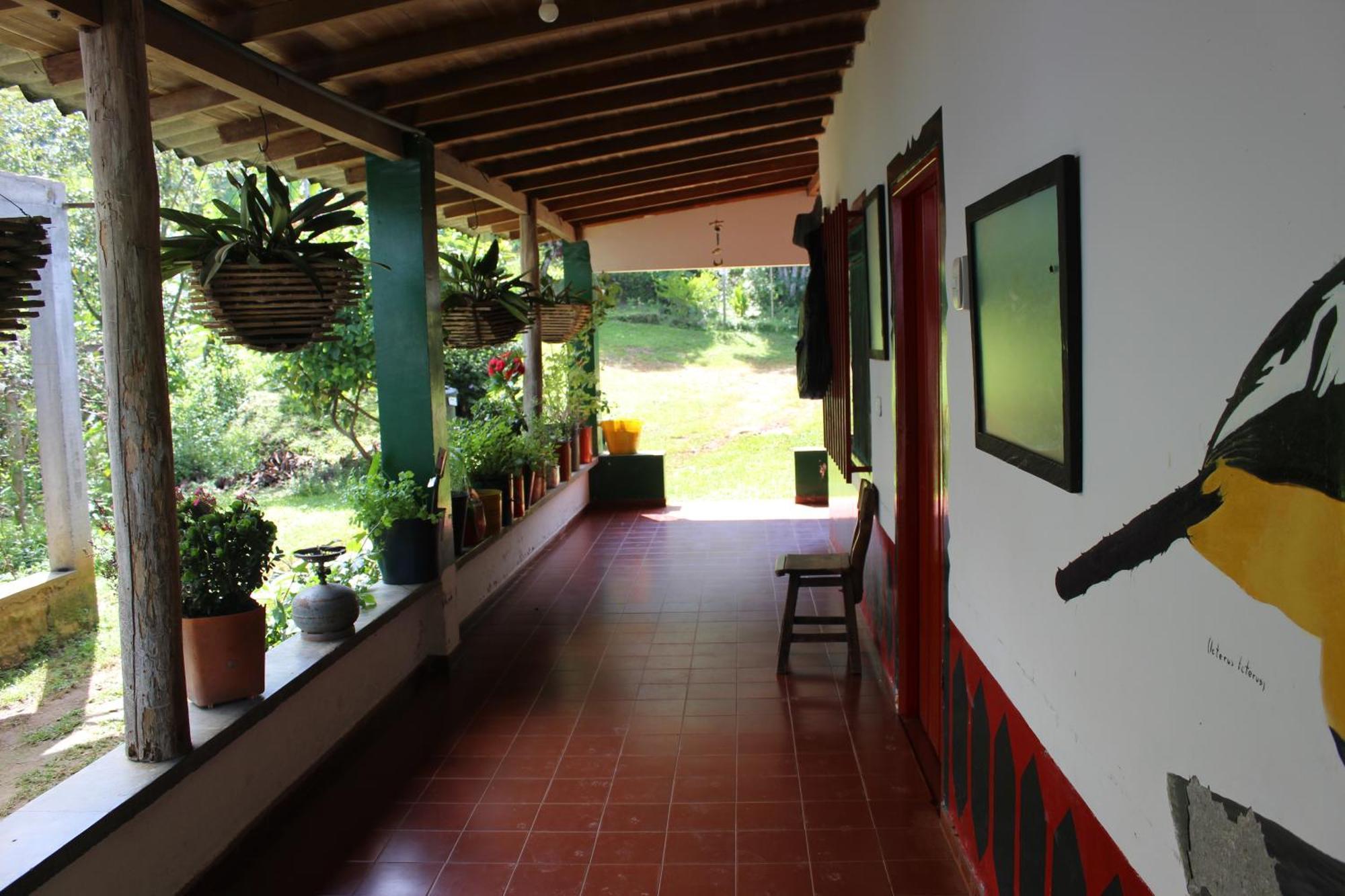 Alojamiento Rural Café Yarumo Buenavista  Exterior foto
